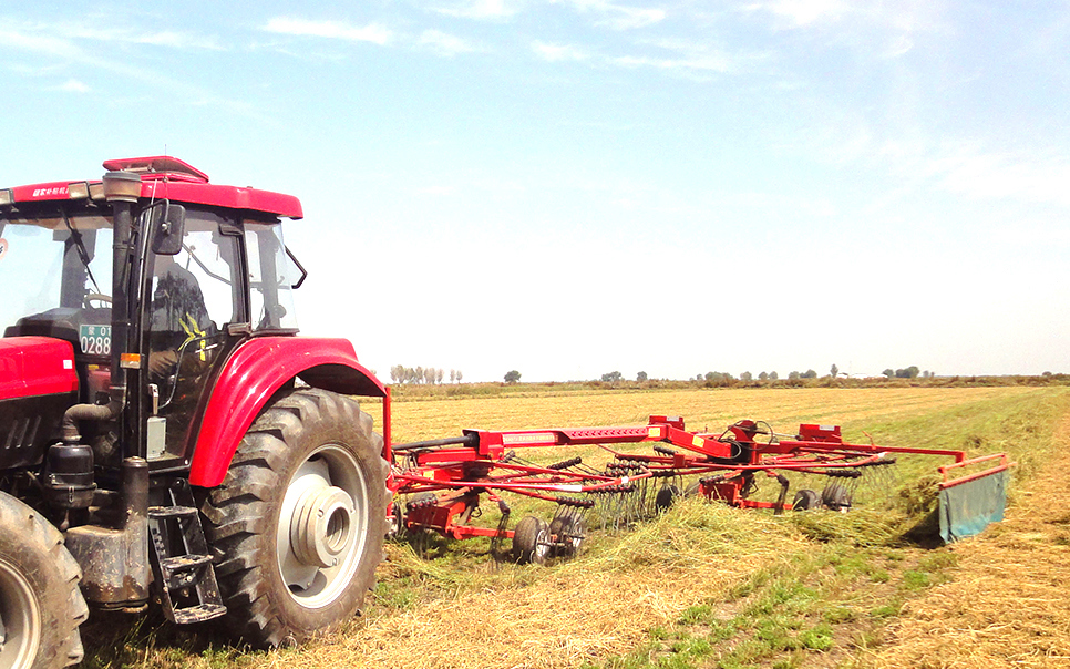 標題：9LSQ-5.3型多功能水平旋轉(zhuǎn)摟草機
瀏覽次數(shù)：48
發(fā)表時間：2023-12-12