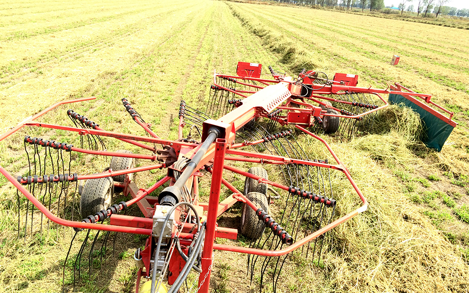 標題：9LSQ-5.3型多功能水平旋轉(zhuǎn)摟草機
瀏覽次數(shù)：68
發(fā)表時間：2023-12-12